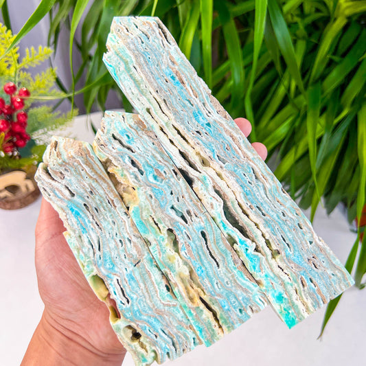 Caribbean calcite tower