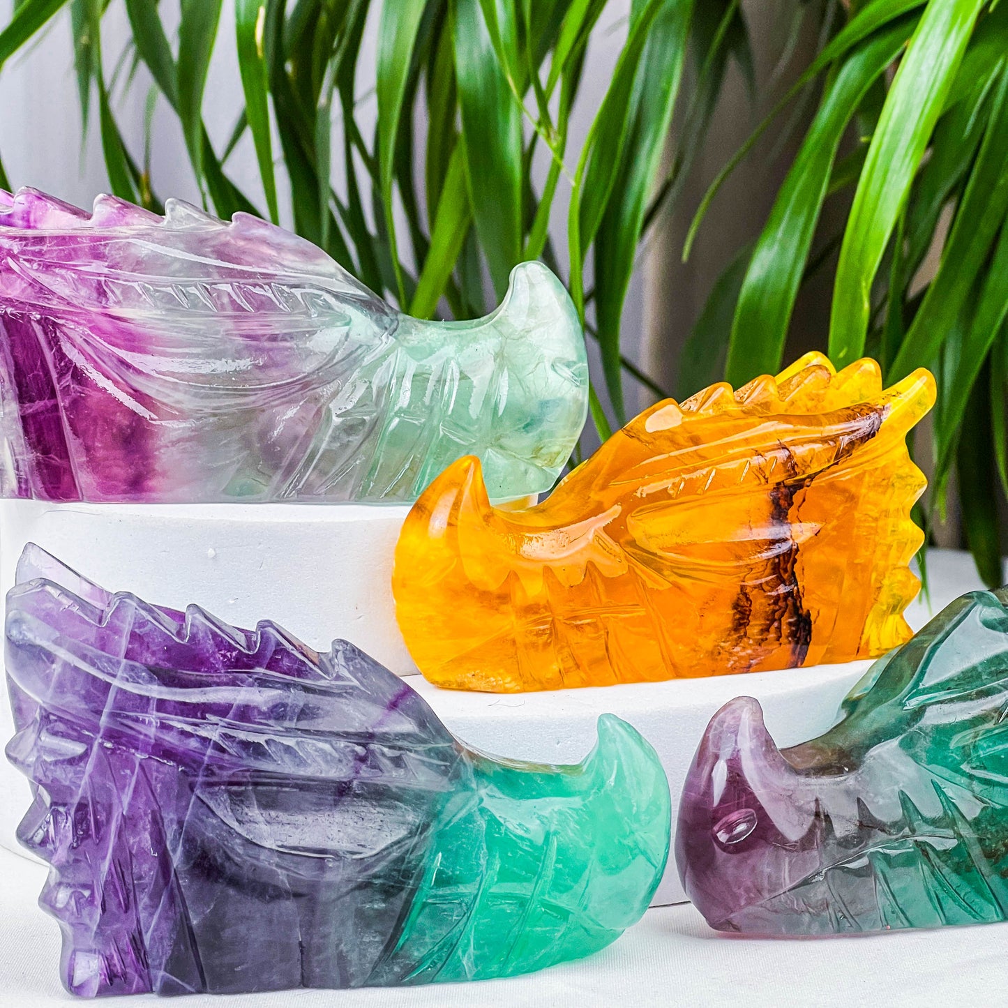 fluorite dragon