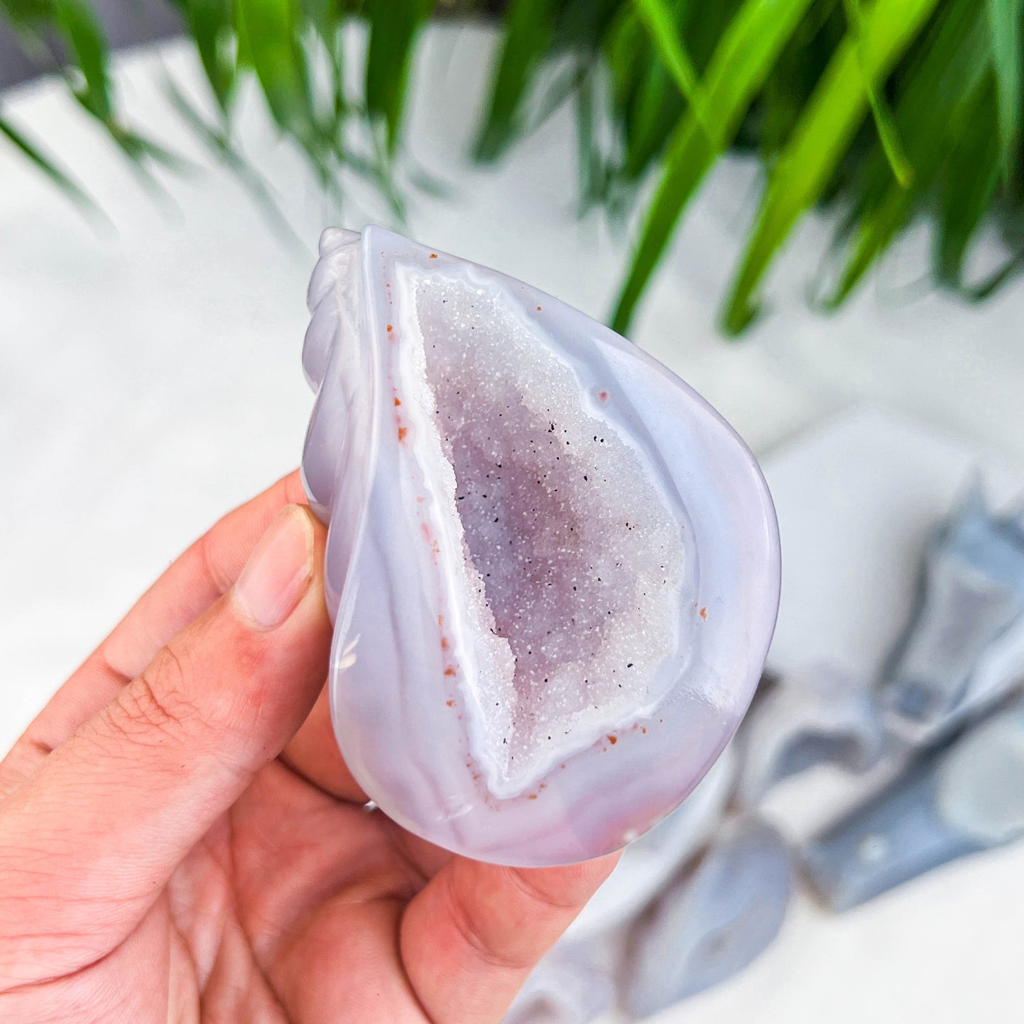 druzy agate shell