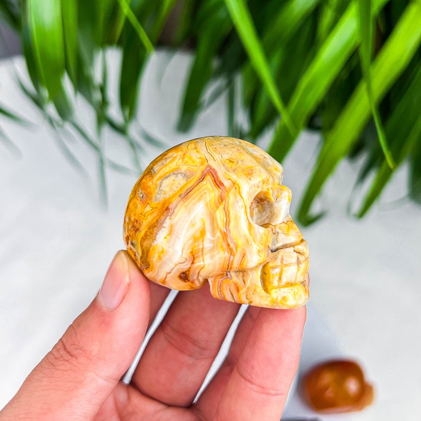 skull