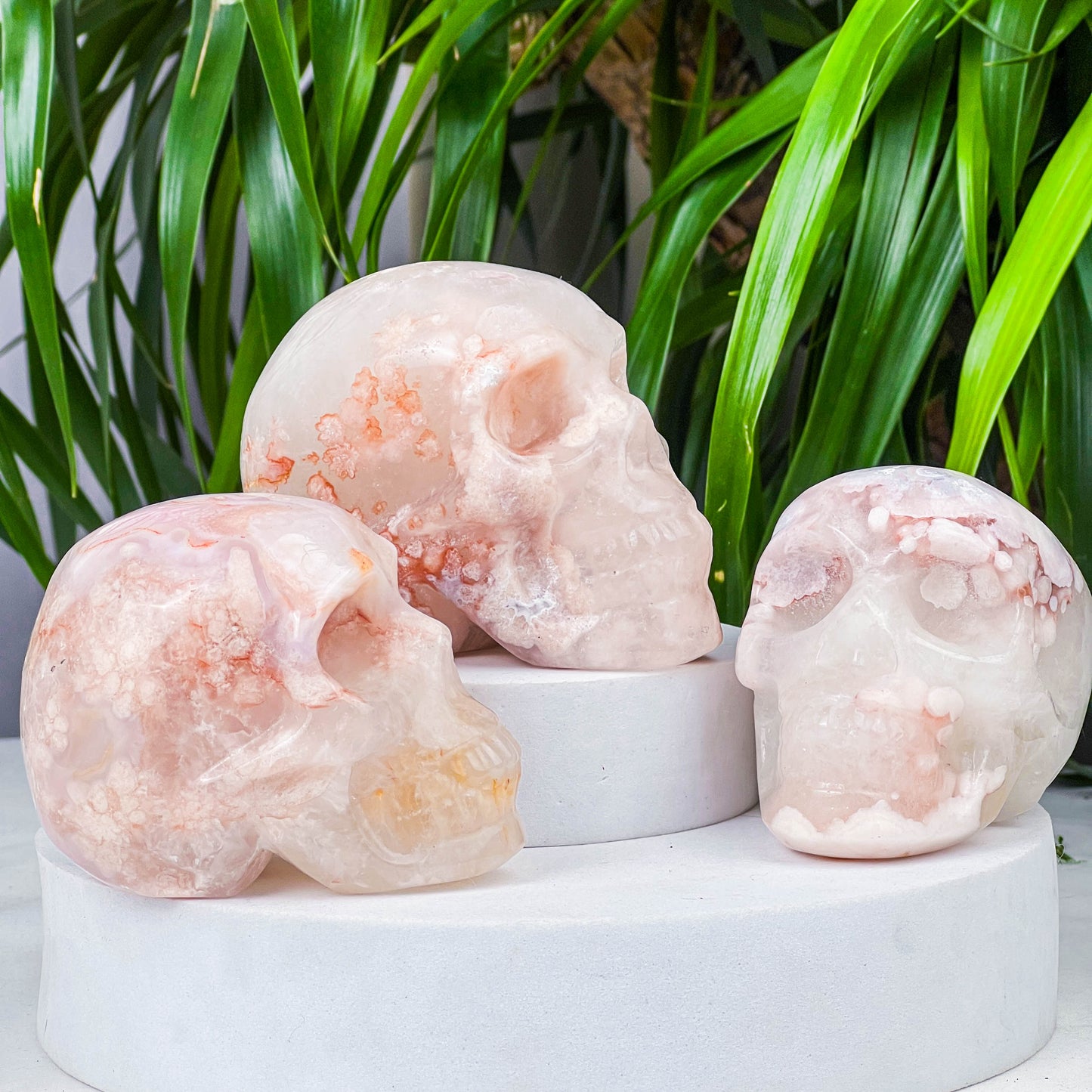 flower agate skull