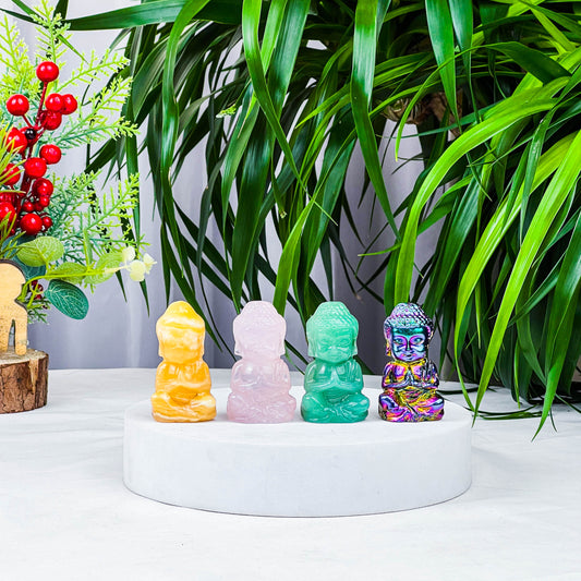 baby buddhass