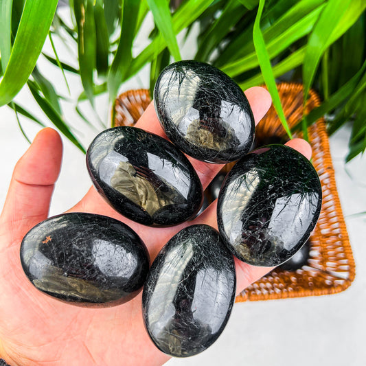 black tourmaline palm