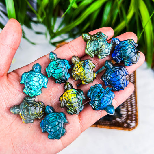 labradorite turtle