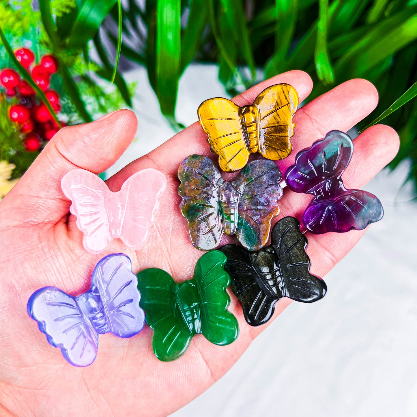 butterfly