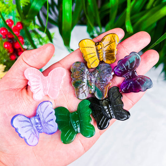 butterfly