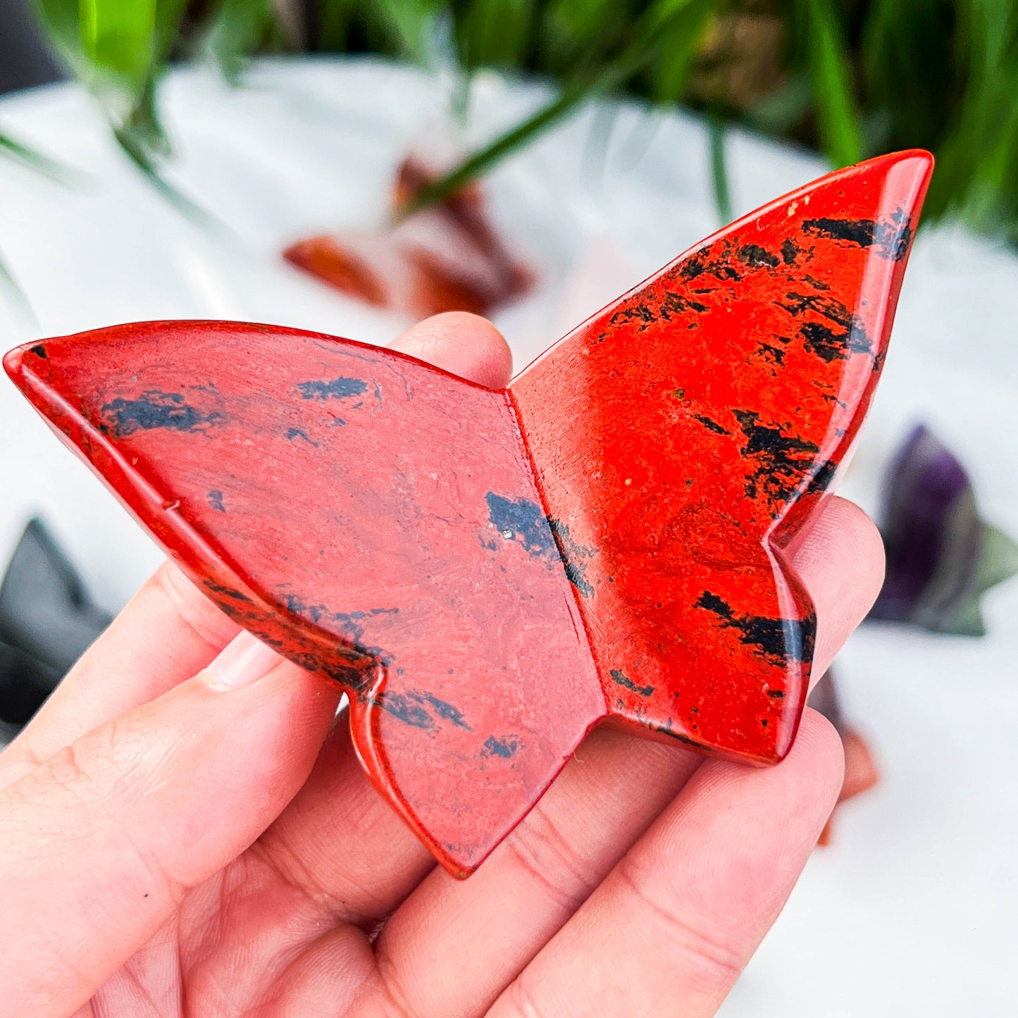 butterfly