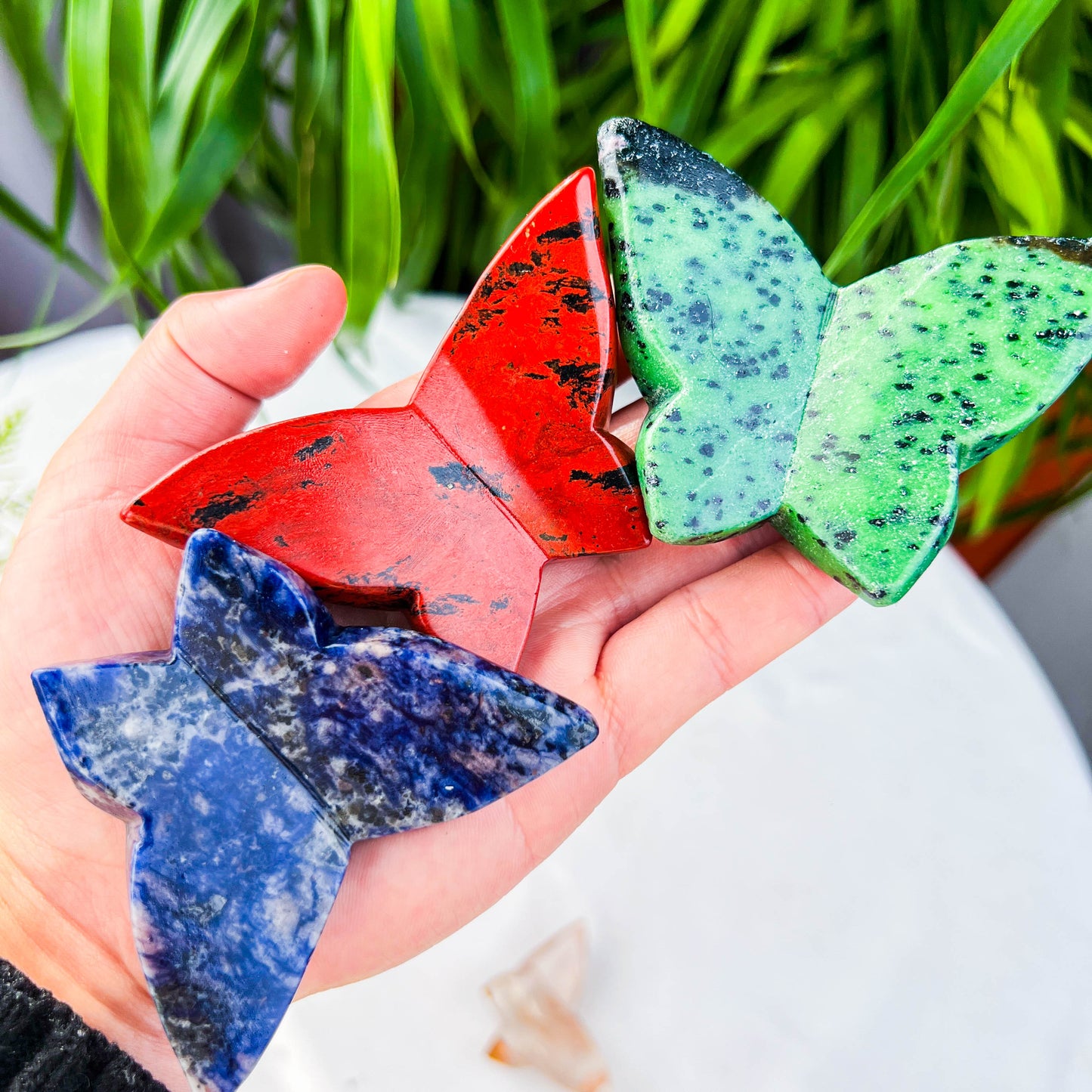 butterfly