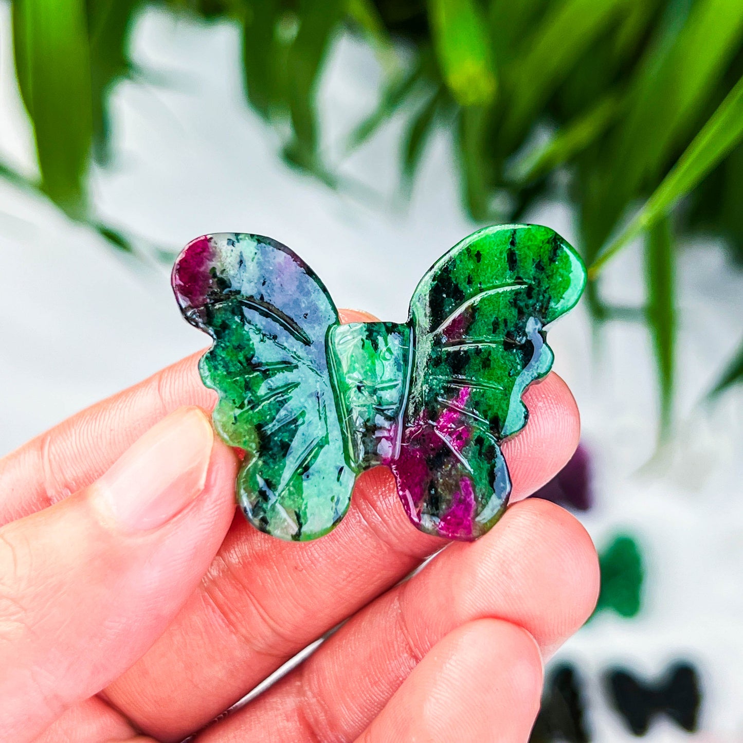 butterfly