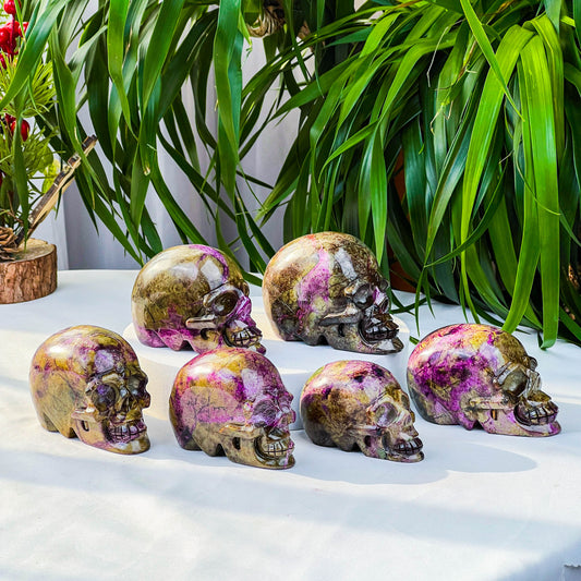 Atlantis skull